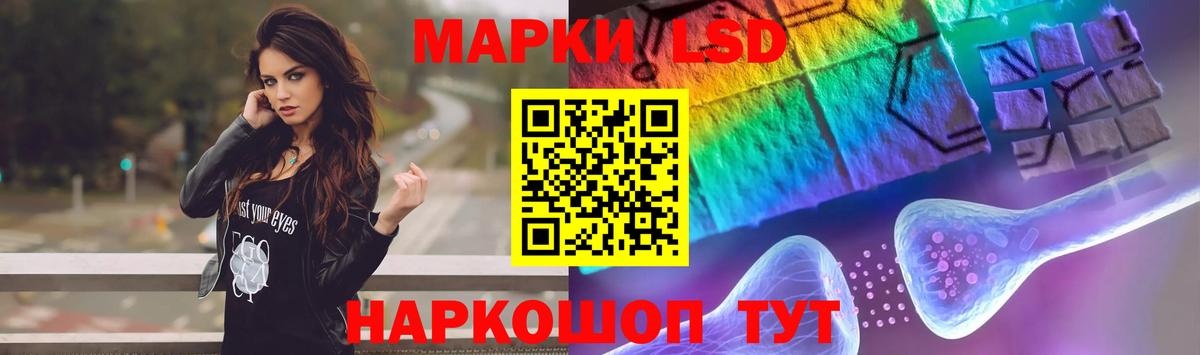 МЕФ Кимовск