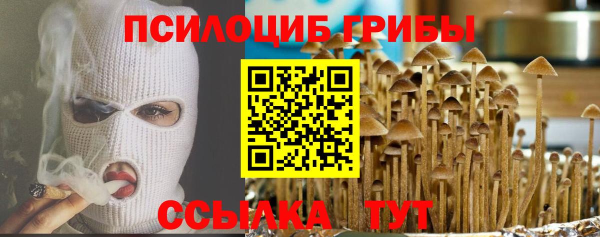 Галлюциногенные грибы Psilocybe  Вход с VPN  Кимовск 